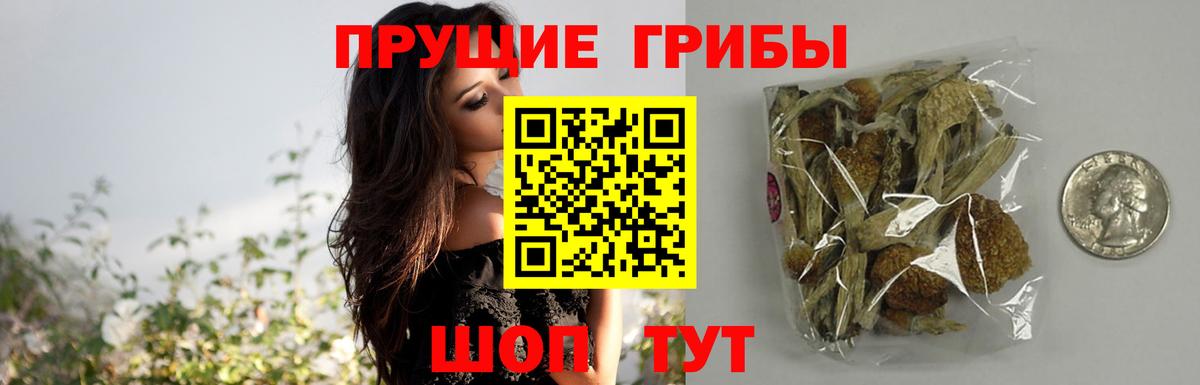 Зеленодольск  Галлюциногенные грибы GOLDEN TEACHER  Вход с VPN 